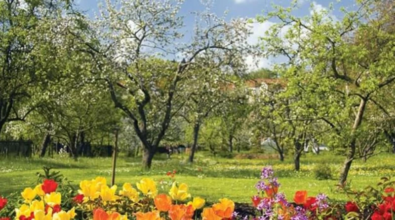 للاستمتاع بشم النسيم. خروجات اقتصادية تصنع بهجة اليوم