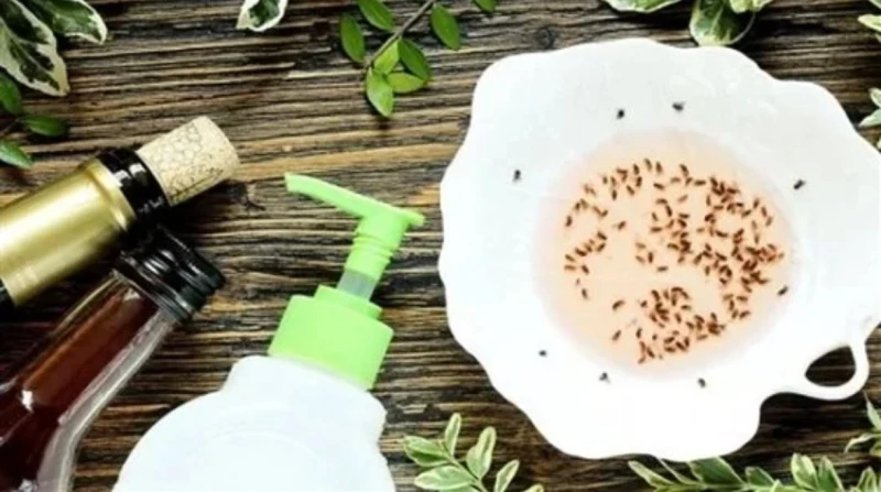 بعد زيادته مؤخرًا. 5 طرق سحرية للتخلص من الذباب نهائيًا