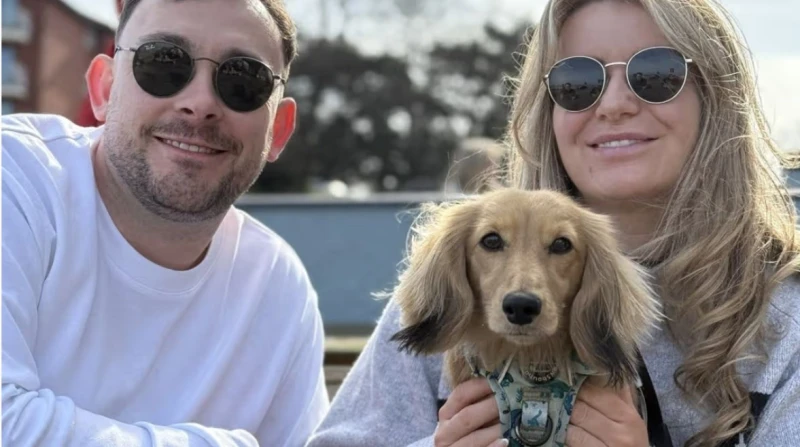 أغلى كلب في العالم. "ويلسون" يجمع 50 ألف إسترليني لتمويل حفل زفاف أصحابه