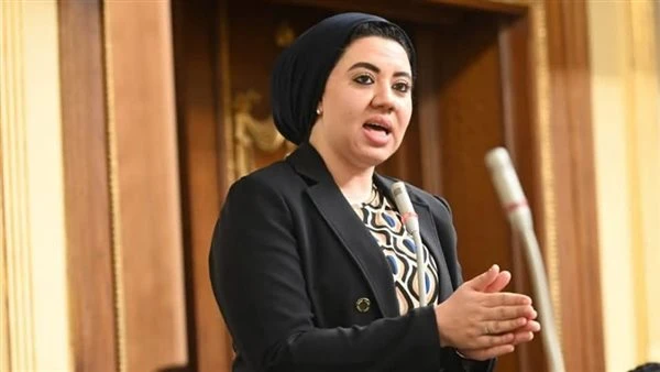 رئيس الشيوخ يهنئ النائبة أميرة صابر بتمثيل مصر في المحافل الدولية