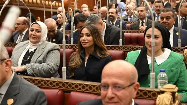 نائبة: المصريون بالخارج قوة اقتصادية مؤثرة وشريك أساسي في بناء الدولة الحديثة