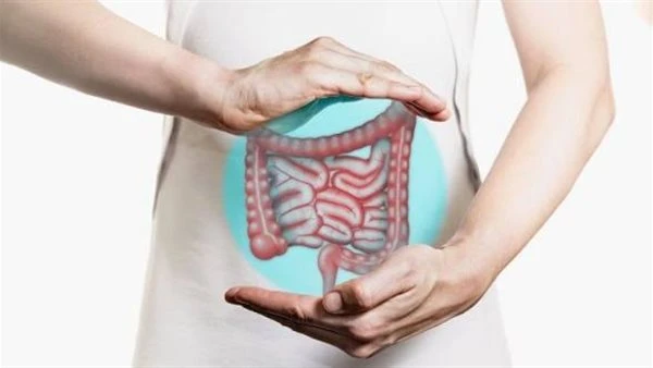 تقسيم الطعام إلى وجبات صغيرة يخفف أعراض القولون العصبي.. دراسة توضح