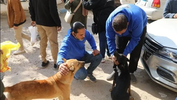 الزراعة تكثف جهودها لمكافحة السعار والكلاب الحرة: تحصين 20 ألفا منذ يناير