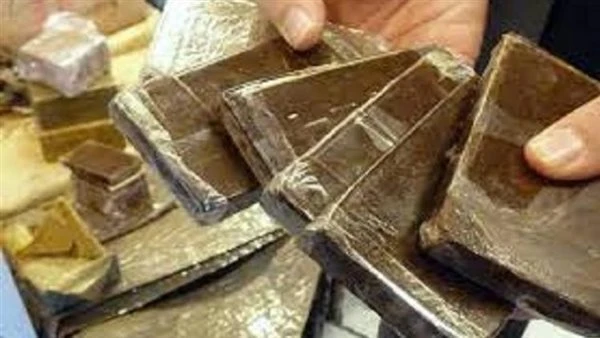 ضبط شخصين بأسيوط بتهمة غسل 60 مليون جنيه من تجارة المخدرات