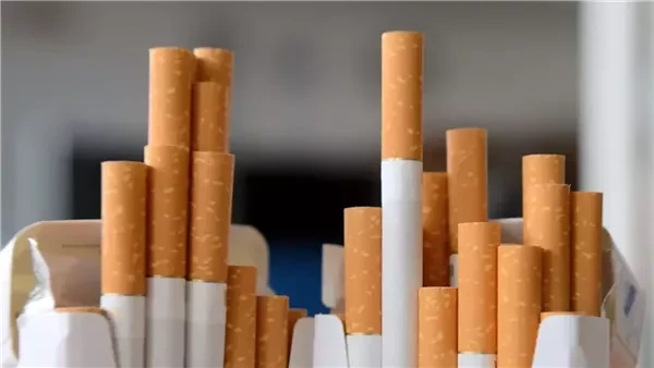 ضبط أكثر من 105 آلاف عبوة سجائر مهربة داخل مخزن غير مرخص بالمنوفية