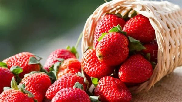 الفراولة المصرية تواصل التألق عالميًا رغم الشائعات