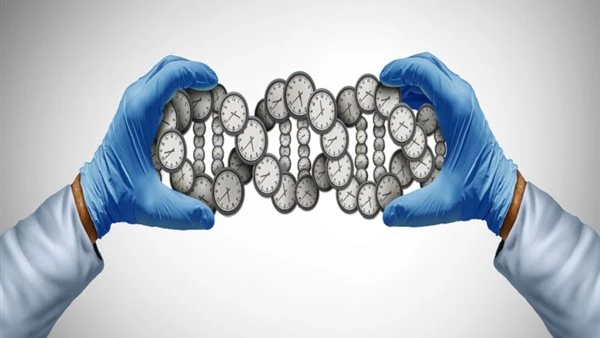 دراسة تقلب الموازين وتكشف السر الحقيقي لإطالة العمر عبر الصيام
