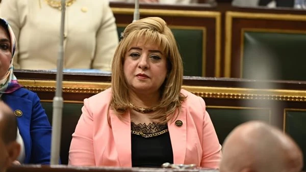 طلب إحاطة عاجل بشأن استعراض أسلحة بيضاء من أجانب أمام حديقة الميريلاند