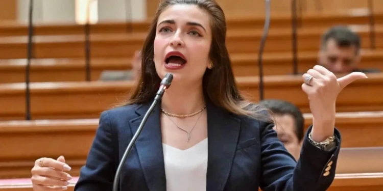 إيرين سعيد: التعليم الأساسي يتحول إلى ضغط وتقييم. وتراجع حق الطفل في طفولة متكاملة داخل المدارس