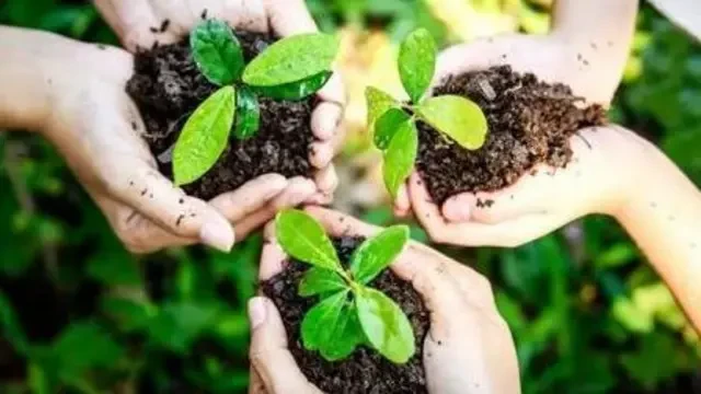 تصاعد الاهتمام بيوم الأرض العالمي وتفاعل جماهيري واسع مع قضايا البيئة