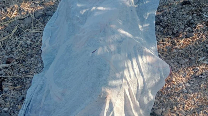 مأساة تهز اليمن. سيدة حامل تنهي حياتها لعدم العودة إلى زوجها بـ"حكم قضائي"