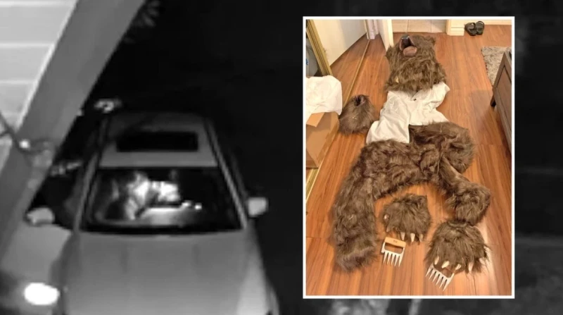 عملية "مخلب الدب" تقود 3 أشخاص إلى السجن، ماذا فعل بالسيارات