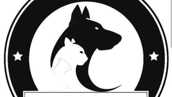 جمعية الرفق بالحيوان: 1.4 مليون حالة عقر سنويًا وارتفاع أعداد الكلاب الضالة