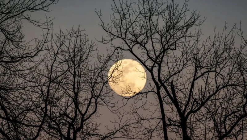 اكتمال 13 بدراً تضيء السماء بين العلم والجمال