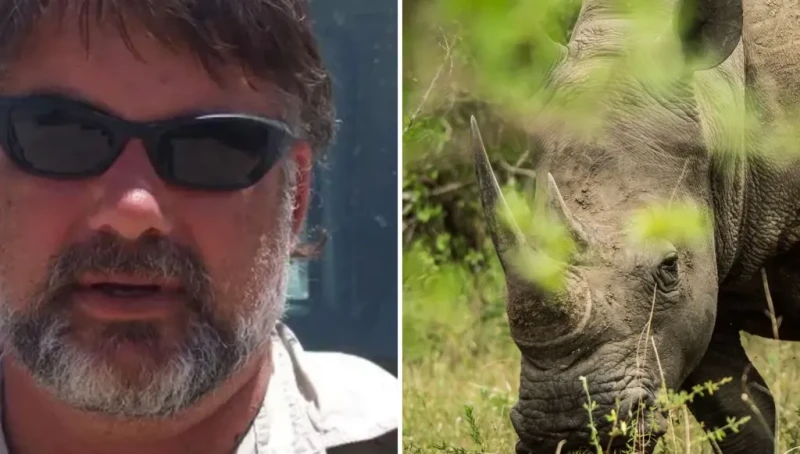 مصرع حارس وحيد القرن في جنوب أفريقيا… حيوان أنقذه يرديه قتيلاً خلال دورية