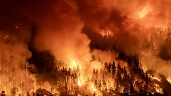 أوروبا تحترق مناخيًا.. تقرير يحذر: الحرارة ترتفع ضعف المعدل العالمي