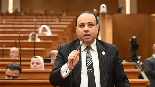 النائب وليد خطاب: نمو اقتصادي 5.3% يعكس نجاح السياسات الإصلاحية