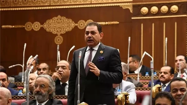 برلماني: قوانين الأسرة على طاولة النواب قريبا.. ومطالبات بحوار مجتمعي لتحقيق العدالة