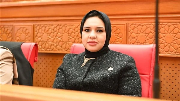 نائبة برلمانية تسائل الحكومة عن تأخر التوسع في الطاقة الشمسية: أين خطة مواجهة أزمة الطاقة؟