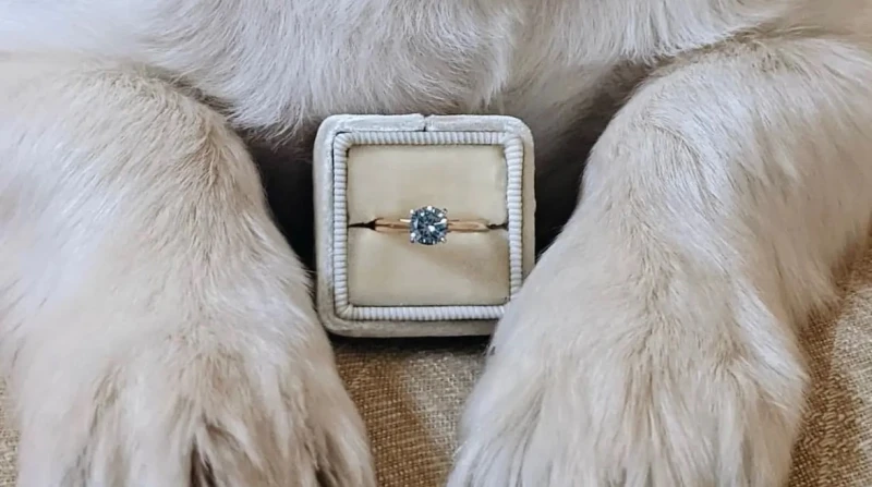 3 قيراط. سحر المختبرات يحول "فرو القطط" إلى قطع ألماس