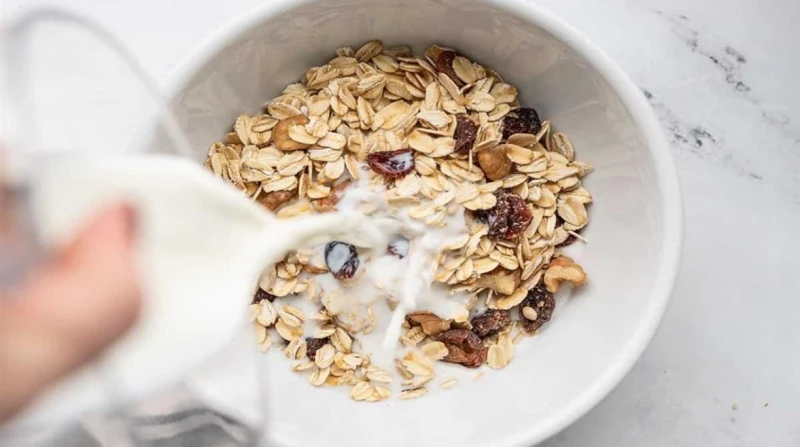 "الشوفان المنقوع" كنز ذهبي بالمنزل. كيف يخفض نسبة السكر في الدم