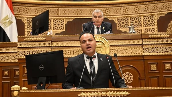 "نائب بالشيوخ" يطالب بمراجعة نتائج بعثة مصر في الأولمبياد والاستعداد المبكر لـ2028