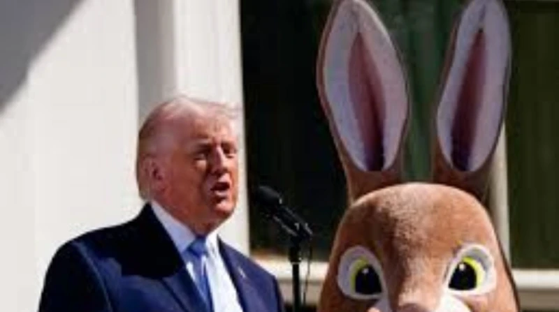 ظهور أرنب عملاق بجانب ترامب يثير الجدل. ما القصة