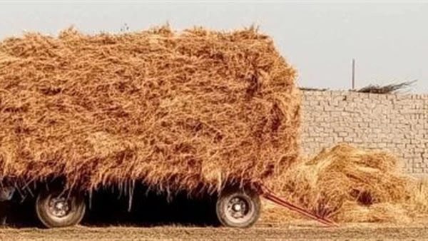 وفاة طفل دهسًا أسفل جرار نقل الكتان داخل مصنع بالغربية