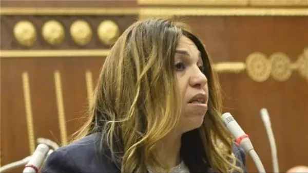 اقتصادية الشيوخ تطالب باستراتيجية وطنية لتعزيز التنمية المحلية وتحقيق التكامل الاقتصادي بين المحافظات