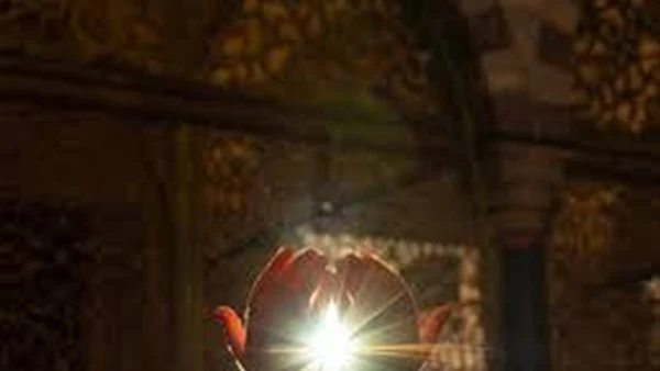 آية واحدة غيّرت حياته.. أمين الفتوى: باب التوبة مفتوح مهما بلغت الذنوب