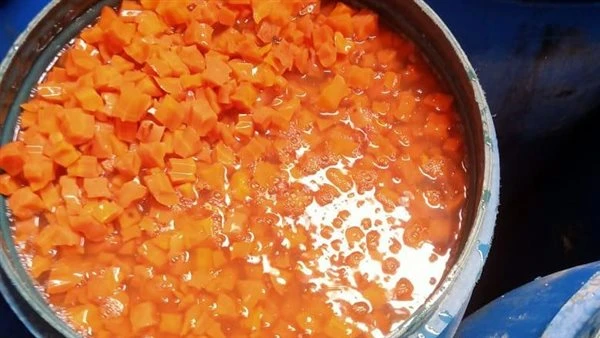 محافظ الغربية: ضبط 3400 عبوة فاسدة و4 أطنان مخللات وطن ملح