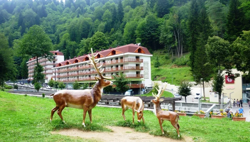 "سايرمي"… حيث وُلدت الحكاية من خطى الغزلان