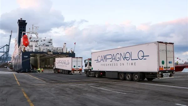 ميناء دمياط يستقبل 63 ألف طن قمح روسي ويصدر 10568 طن بضائع متنوعة