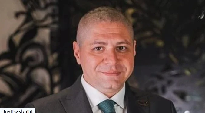 سرقة ١٧ مليون جنيه من برلماني: قصة الدستور فيها ان