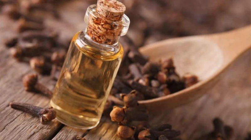 هل يعالج ماء القرنفل حب الشباب؟. تحذير من الإصابة بحروق محتملة