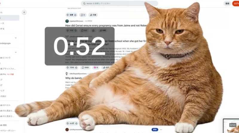 "ممنوع المرور". قطة ذكية تمنعك من ضياع وقتك على "فيسبوك" و"إكس"