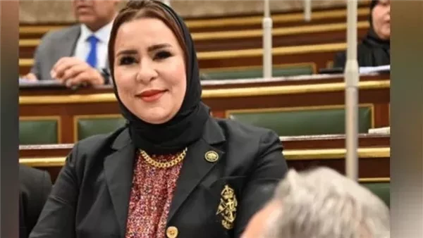 برلمانية: التصنيع المحلي ركيزة أساسية للتنمية وتعزيز تنافسية المنتج المصري