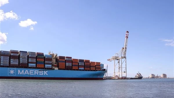 ميناء دمياط يستقبل 8451 طن قمح ويصدر 20098 طن يوريا في 24 ساعة