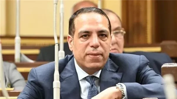 الصافي عبدالعال: توجيهات السيسي بشأن المخزون الاستراتيجي تدعم استقرار الاقتصاد