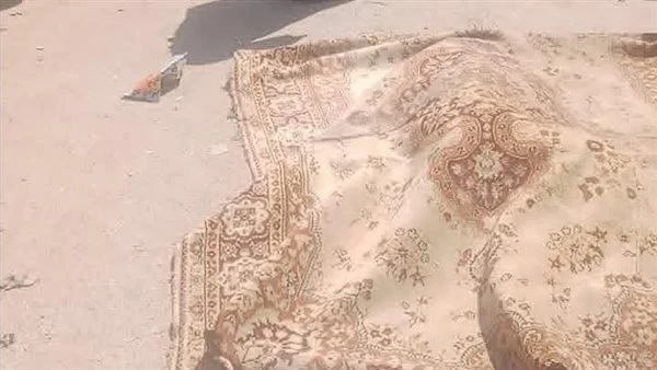 مصرع سيدها دهستها سيارة وهى فى طريقها لاصطحاب نجلها من المدرسة بامبابة