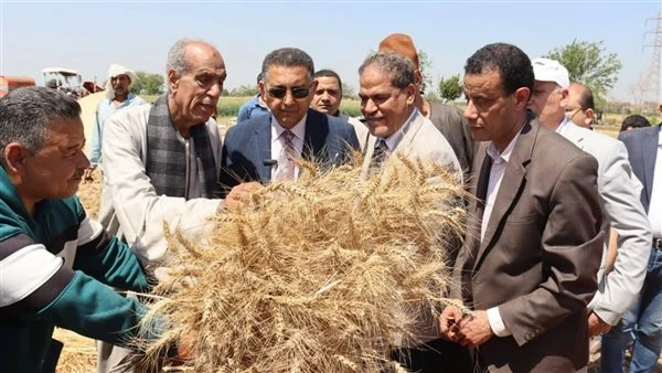 محافظ القليوبية يتفقد حصاد القمح ويؤكد دعم الدولة للمزارعين وتعزيز الأمن الغذائي