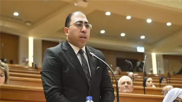 بسام الصواف يقترح توسيع استخدام الطاقة الشمسية لتعزيز أمن الطاقة في مصر