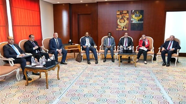 وزير العمل لنظيره السوداني: مصر لن تبخل بالتدريب المهني والمساهمة في "الإعمار"
