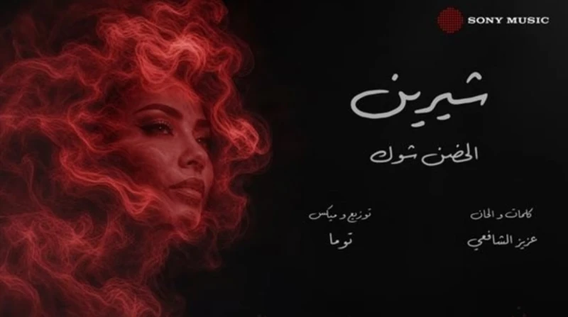 قبل "الحضن شوك". كم مرة شكت شيرين عبد الوهاب في أعمالها الغنائية