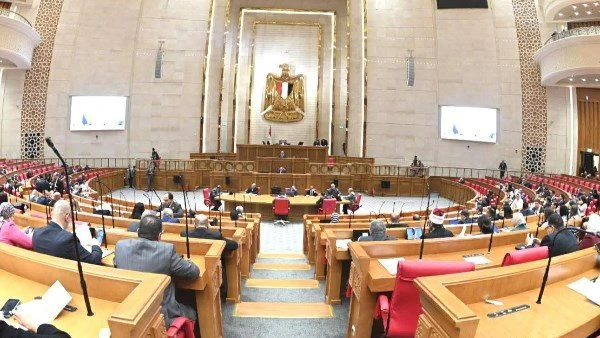 “النواب” يحيل بيان وزير المالية عن موازنة 2026/2027 للجنة المختصة