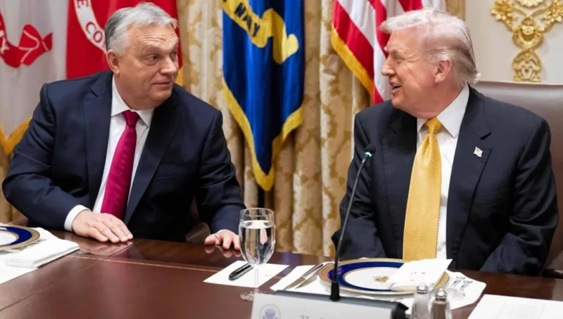 مرآة دونالد من المجر إلى هوليوود