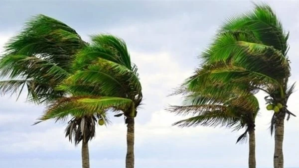 ارتفاع الحرارة ورياح.. ماذا عن حالة الطقس من السبت إلى الأربعاء؟
