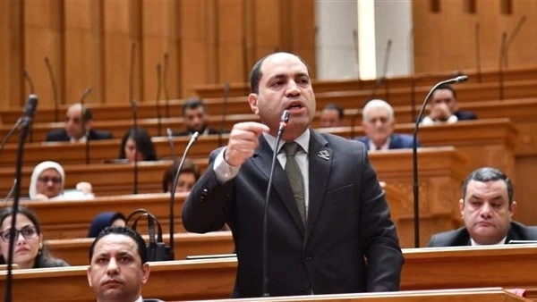 عمرو درويش: قانون الإدارة المحليةدستور السلطة التنفيذية ويحقق الانتقال للامركزية