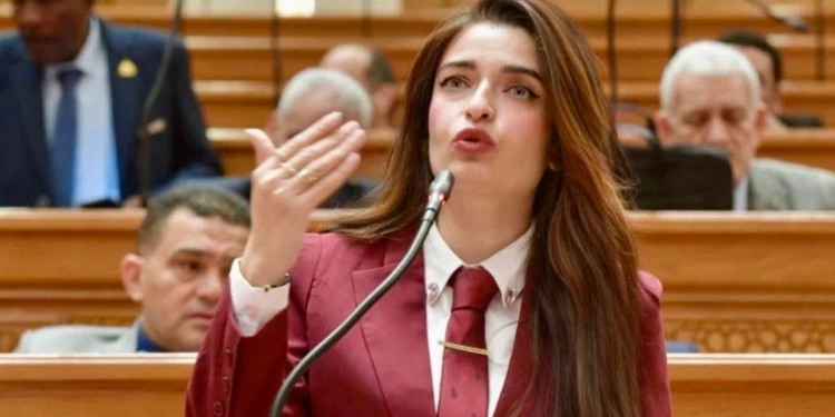 إيرين سعيد تطرح روشتة إنقاذ الطاقة في مصر. حلول مبتكرة لمواجهة أزمات الوقود