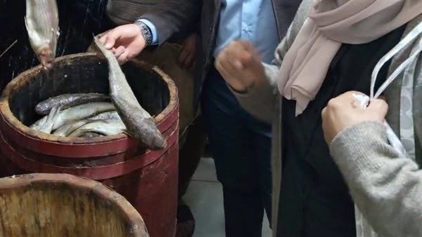 ضبط نصف طن فسيخ ورنجة غير صالحة للاستهلاك الآدمي بالدقهلية